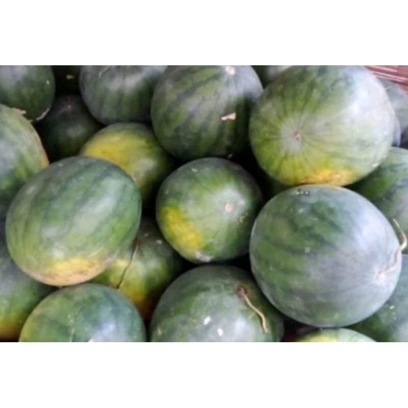 

semangka satu buah berat 4kg-4.5kg