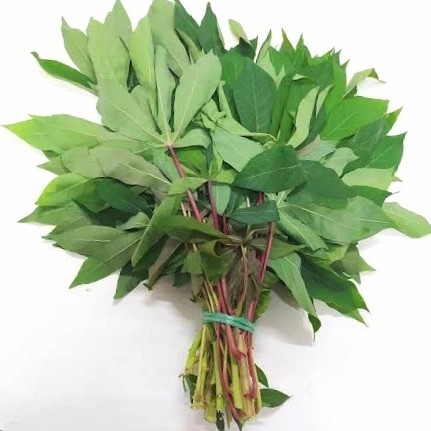 

Sayur Daun Singkong Segar 1/2 Kg - 500 Gram