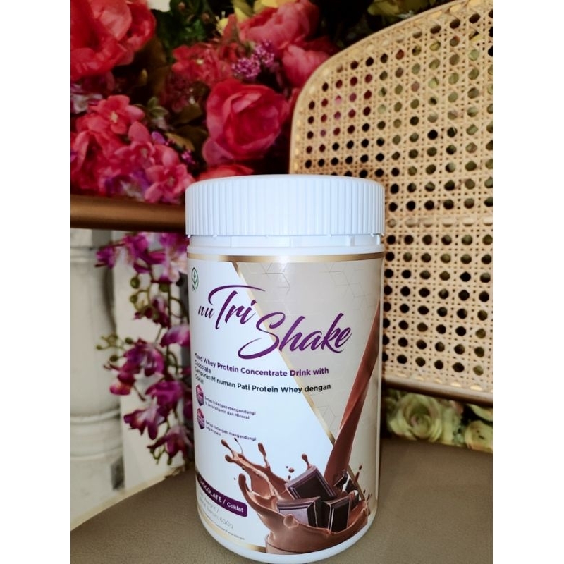 Protein Powder Malaysia 600gr (Nutrishake - Whey Protein) - Untuk anak picky eater & Cegah Stunting 