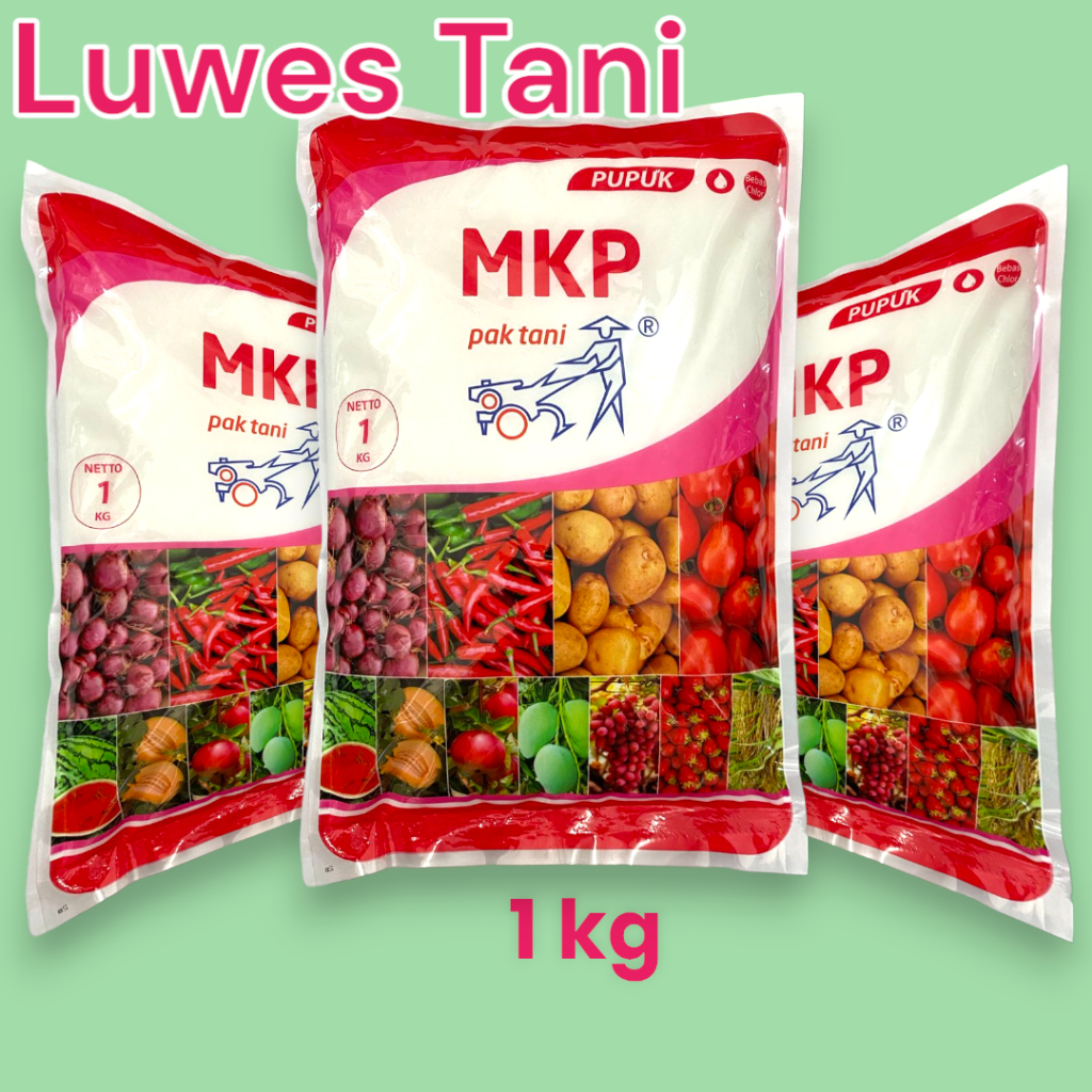 Pupuk MKP 1kg pak tani original