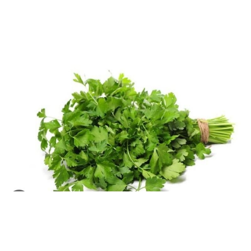 

Daun sledri 250gram