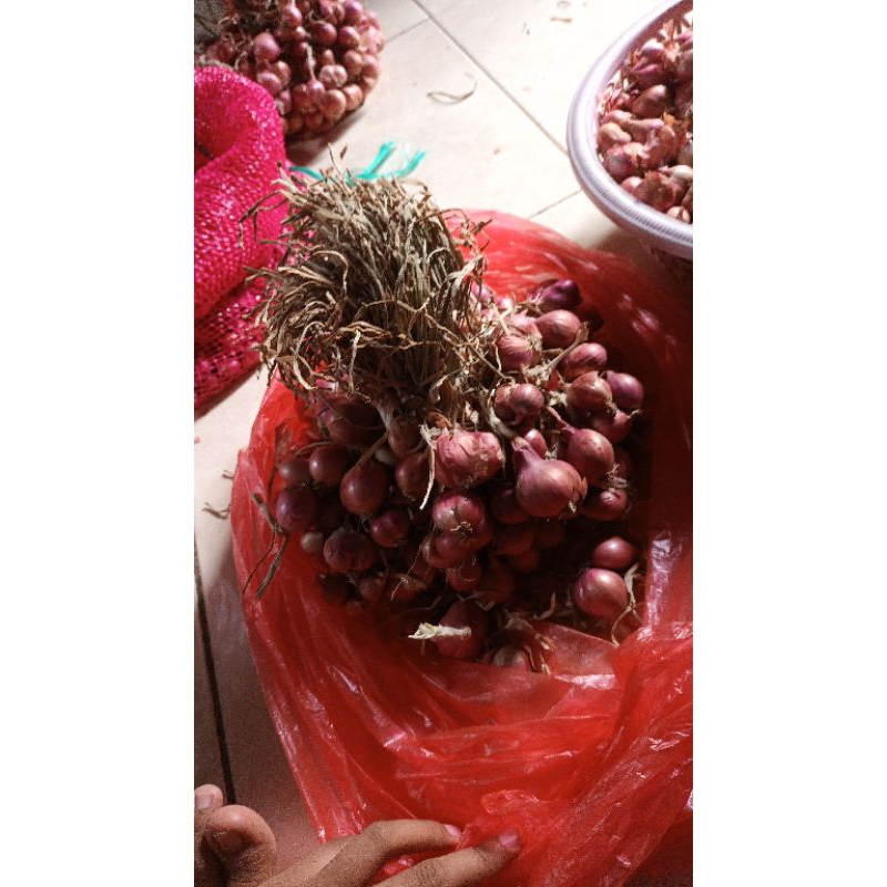 

Bawang Merah Nganjuk