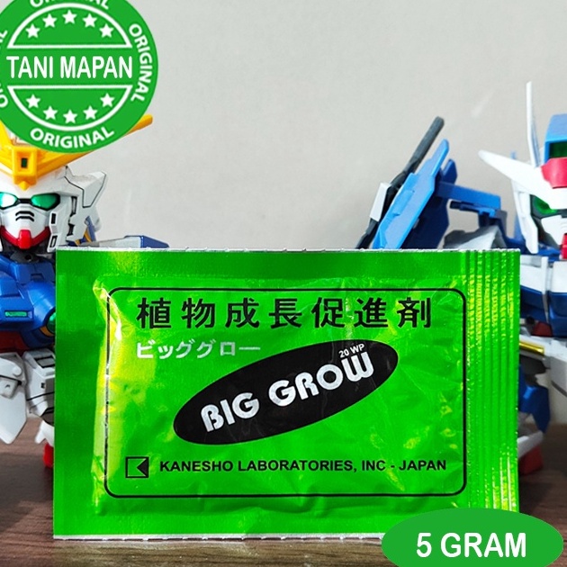 

[KODE PRODUK 9PV7K7643] ZPT - BIG GROW 5 gram - GA3