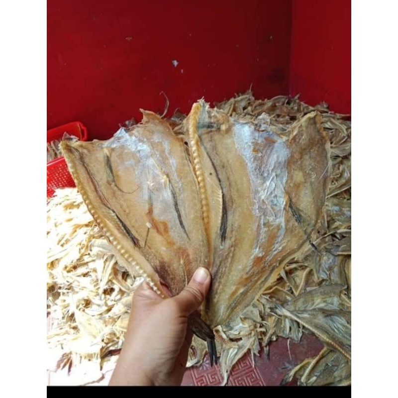 

Ikan tipis Tarakan