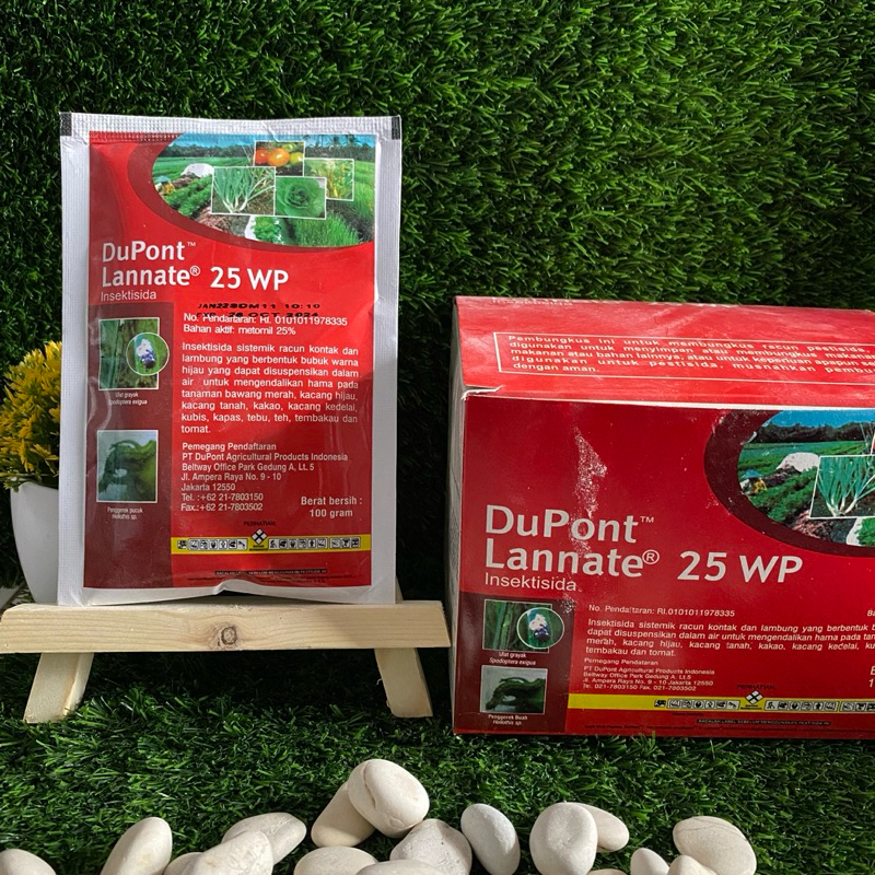 Dupont Lannate 25WP 100gr (merah) - Insektisida