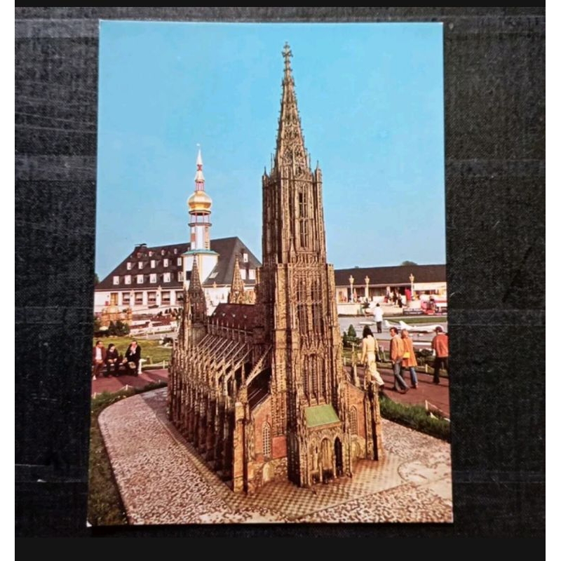 

postcard lama