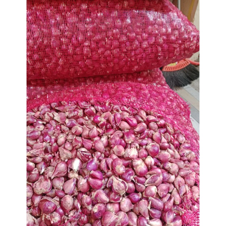 

[☠Q44$] bawang merah brebes ukuran sedang 1 kg You can buy