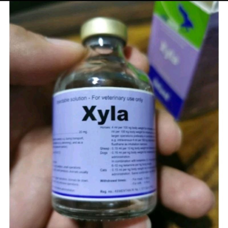 Xyla 50 ml ORIGINAL 100%