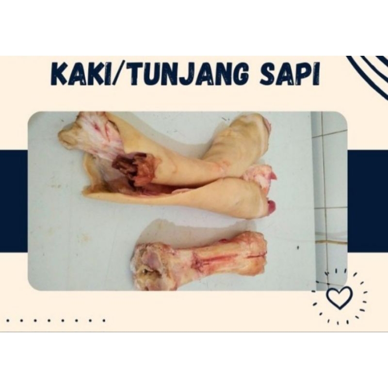 

Kaki Sapi Fillet Utuh / Tunjang Sapi