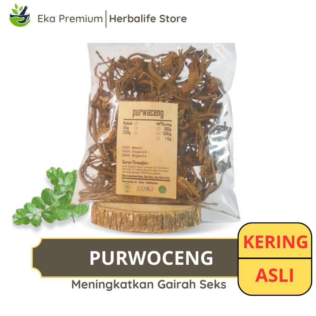 

PURWOCENG KERING Purwaceng Ramuan Rempah Herbal Asli Jamu Minuman Alami Murni Tradisional Simplisia Antanan Gunung Pimpinella Pruatjan