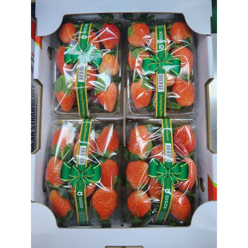 

Strawberry Korea Isi 4 Pack X 330 Grm / Box