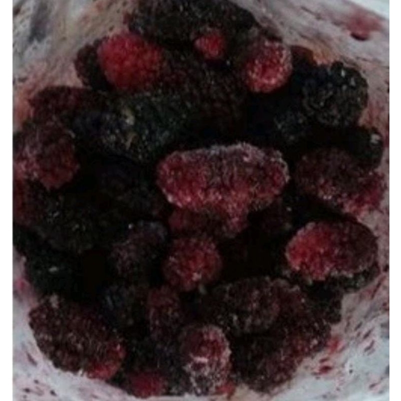 

Buah Blackberry frozen/Mulberry frozen/Murbey/Murbei