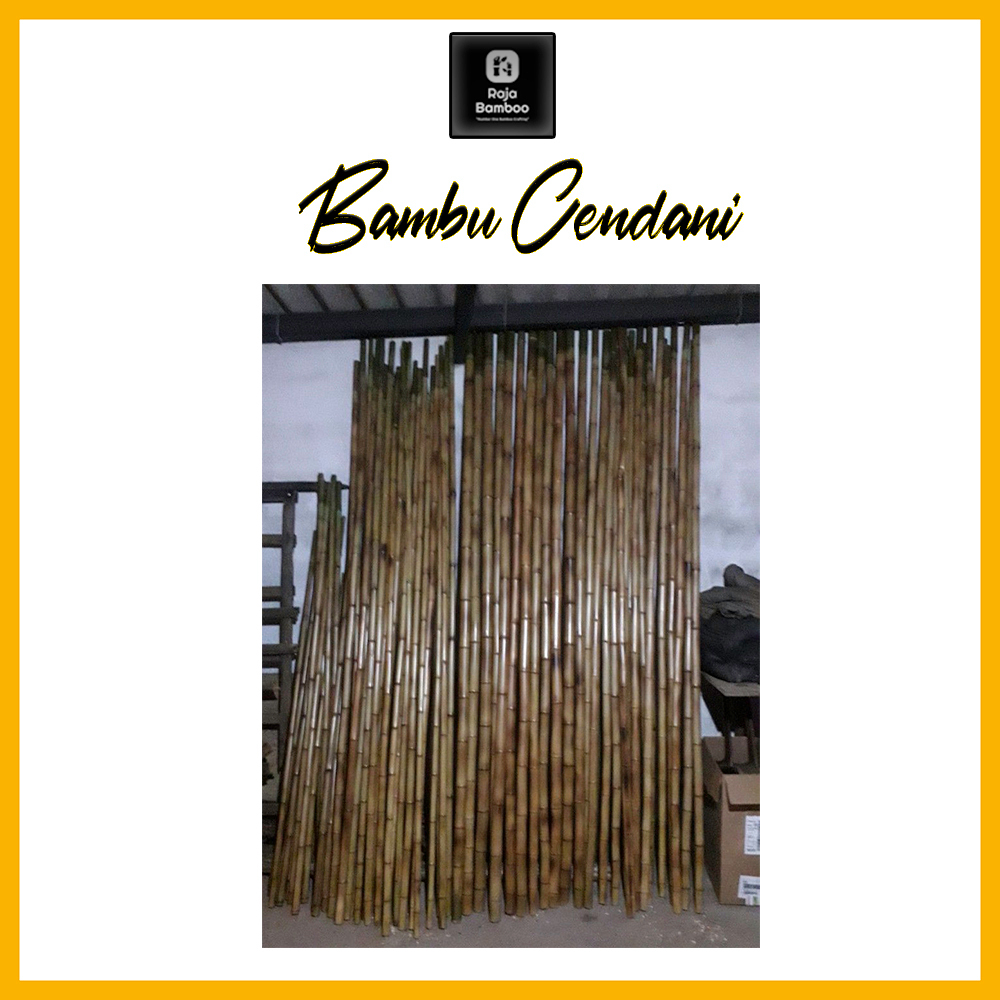 Bambu Cendani | Bambu Dekorasi | Per Batang