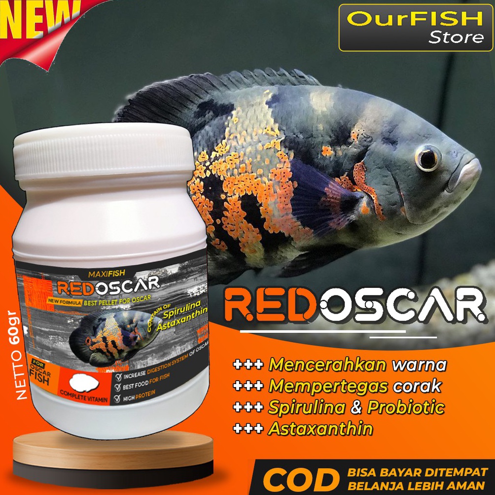 [♚A81/] Pakan Ikan Oscar Pelet Makanan Oscar Premium Oscar Tiger Albino Batik Paris Tembaga Slayer R