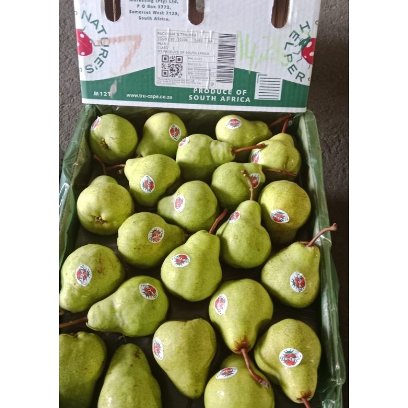 

Pear Century/ Pear Singo Korea / Pear Xiang Lie / Buah Pir / Buah Pear