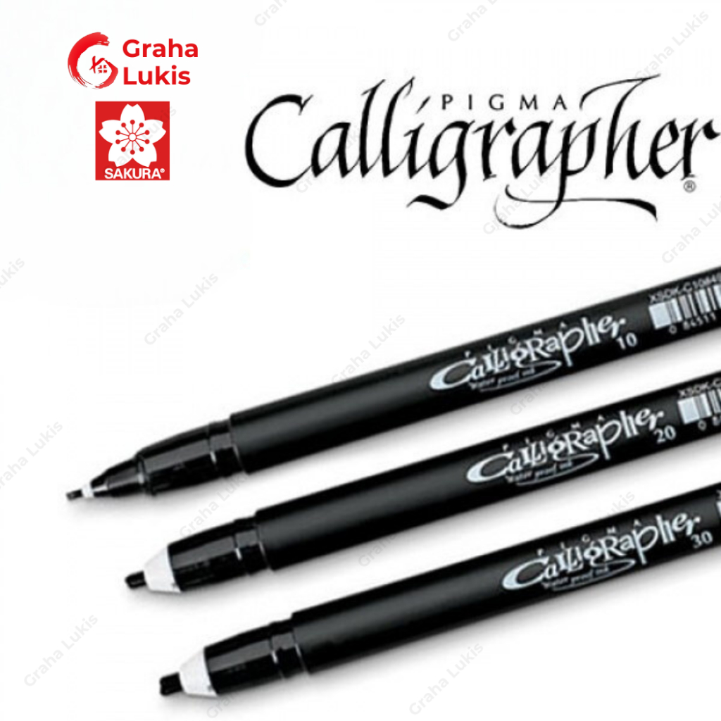 

mdn SAKURA PIGMA CALLIGRAPHER PEN