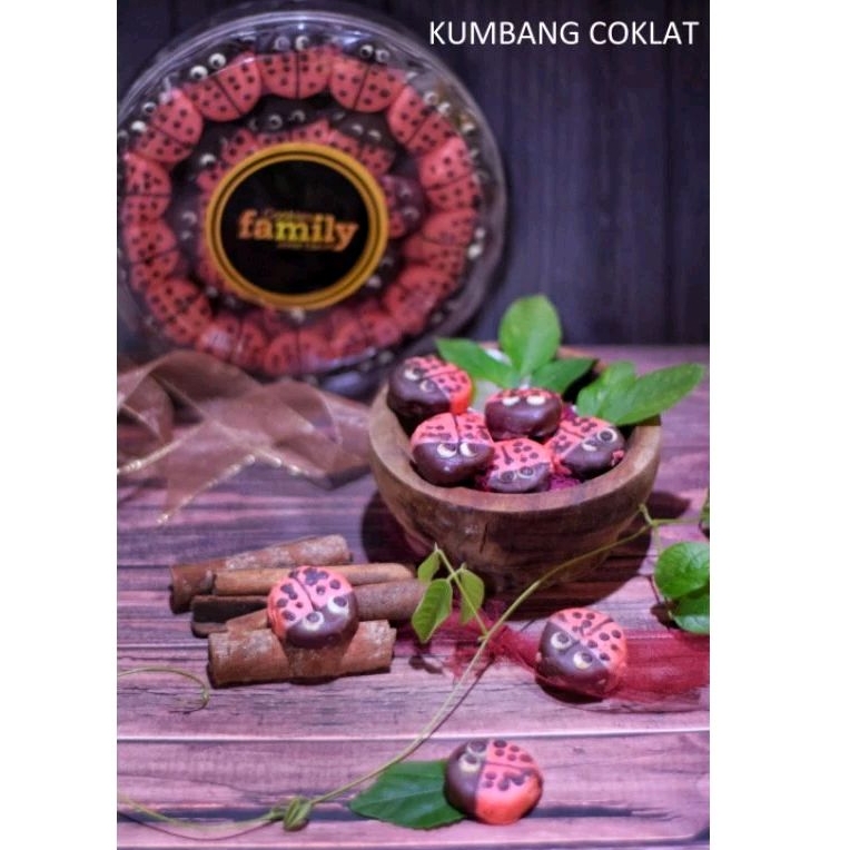 

KUMBANG COKLAT