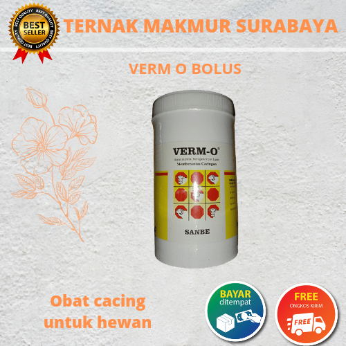 Verm O 12 Bolus