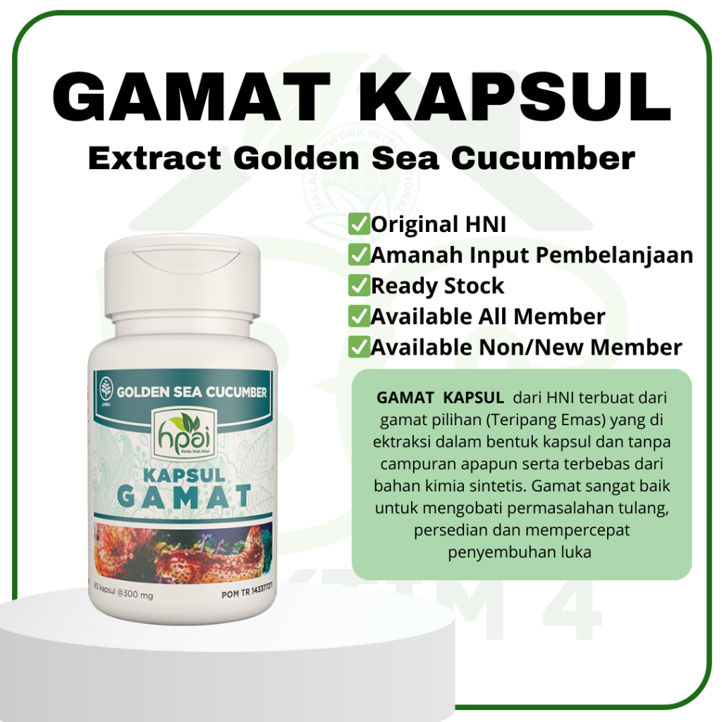 GAMAT KAPSUL - HNI/GAMAT/TERIPANG EMAS/GOLDEN SEA CUCUMBER