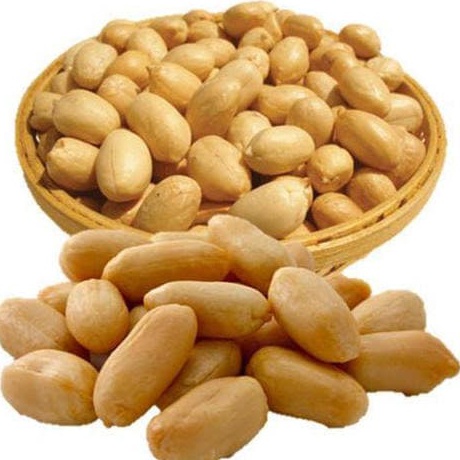 

Terbaru Kacang Panggang 1KG - Kacang Oven Bawang - Roasted Peanuts RD snack