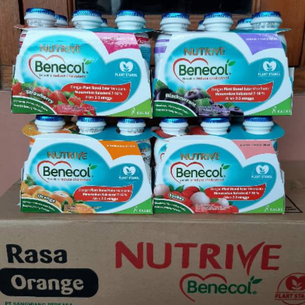 

[✾V84$] NUTRIVE BENECOL 6X100 ML [236]