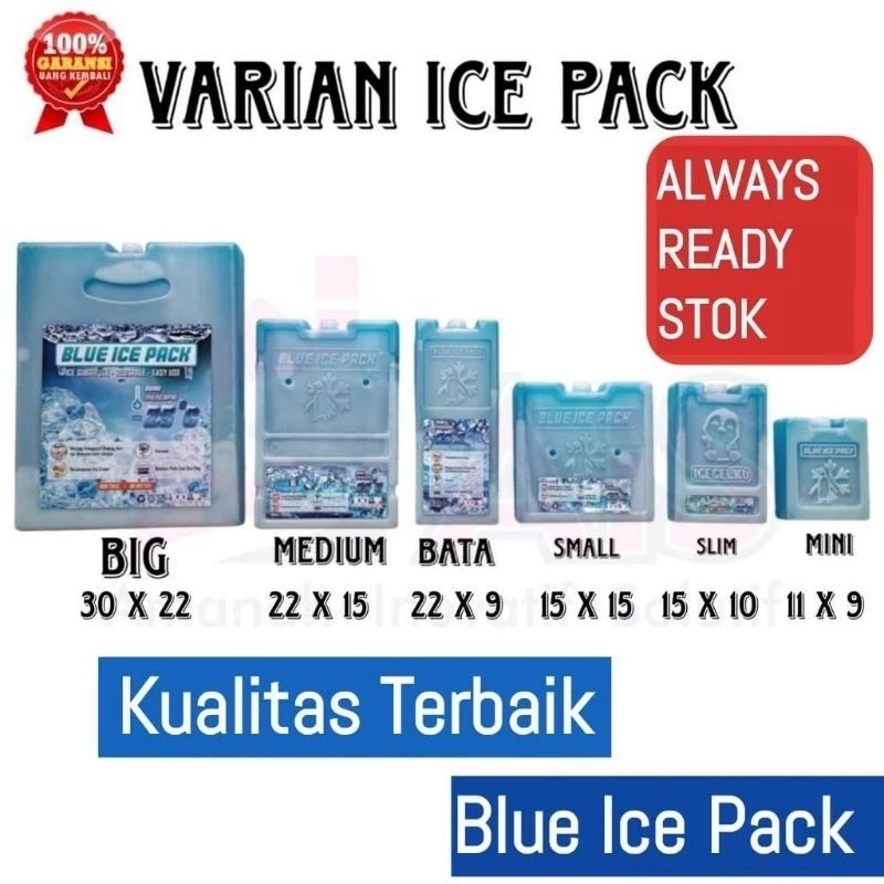 ICE PACK 03 BLUE ICE PACK ICE GEL PENGGANTI DRY ICE PACK GEL PENGGANTI ES BATU BLUE ICE GEL PACK PEN