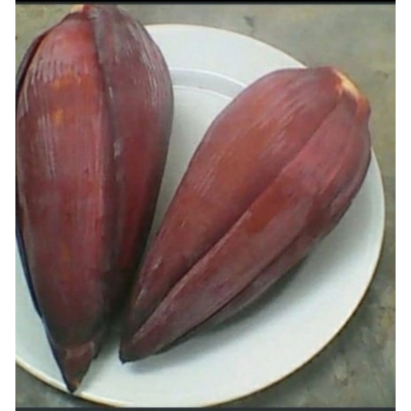 

PROMO jantung pisang segar berat -+500grm/biji