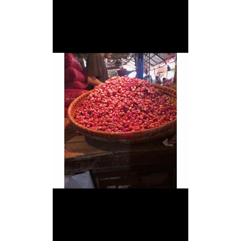 

500gram BAWANG MERAH BREBES/ BAWANG MERAH JAWA/ BRAMBANG