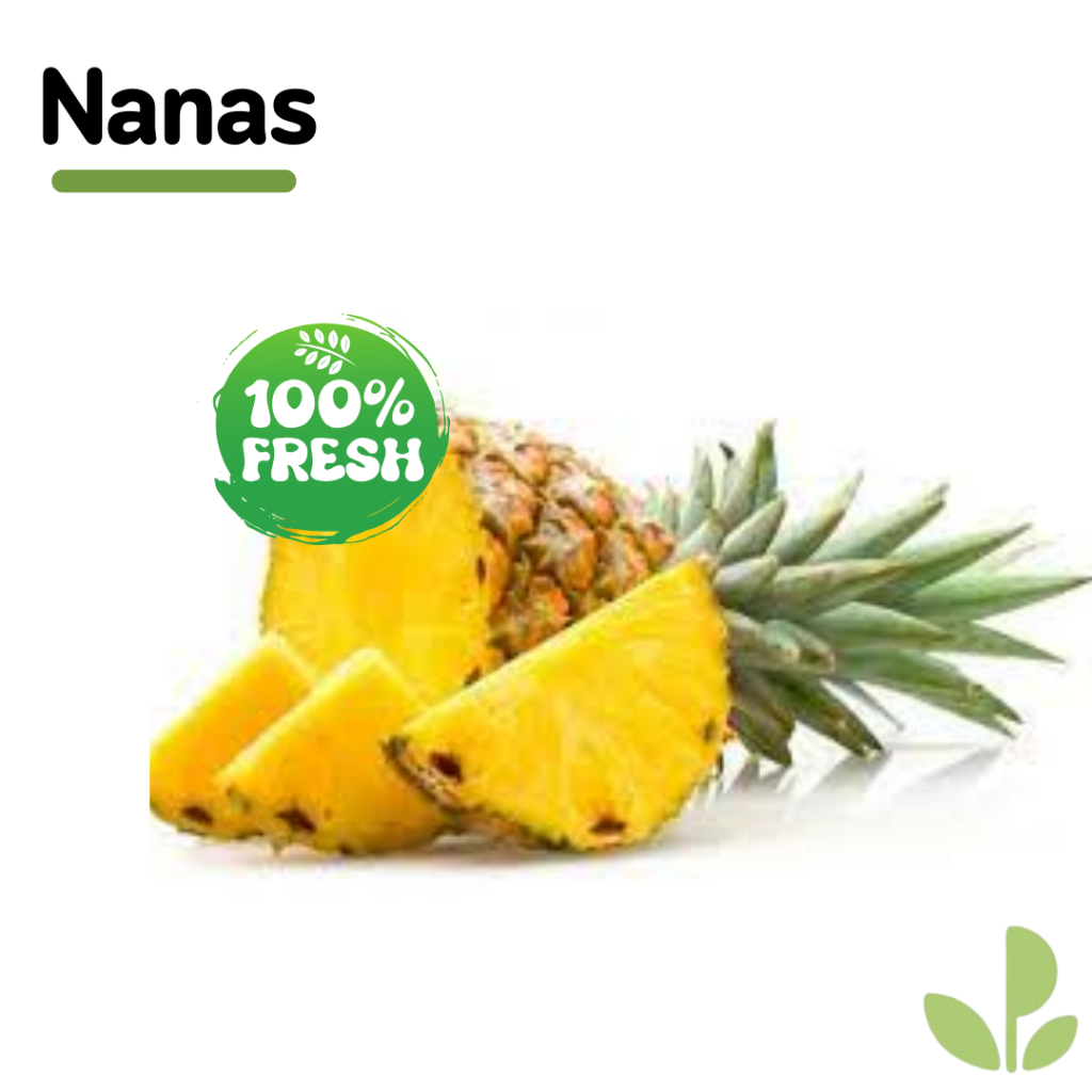 

NANAS | 1 PCS NANAS SEGAR |