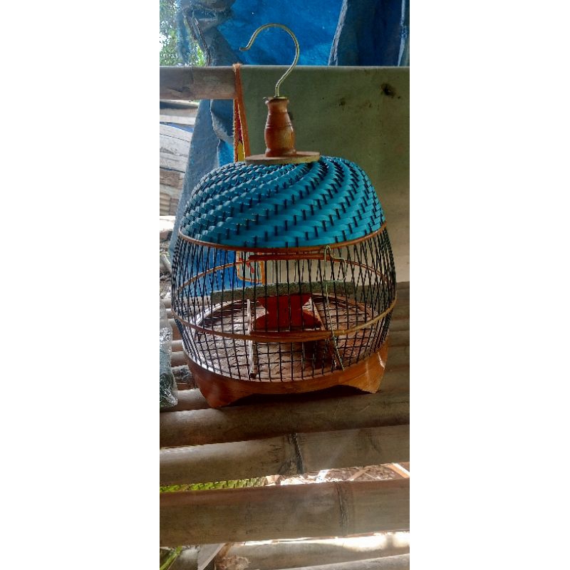 sangkar Minion perkutut