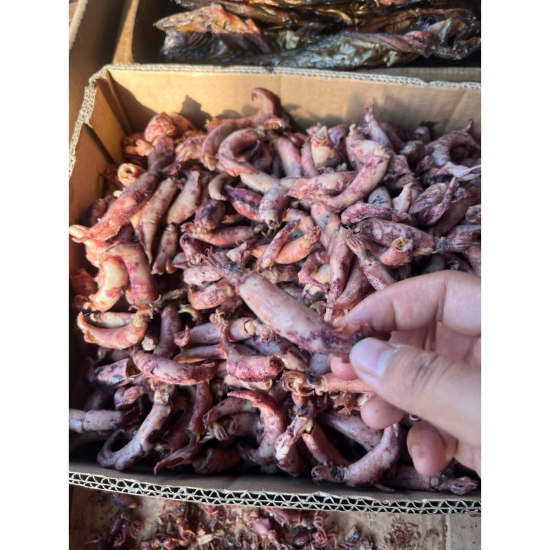 

Cumi Asin (Sotong)
