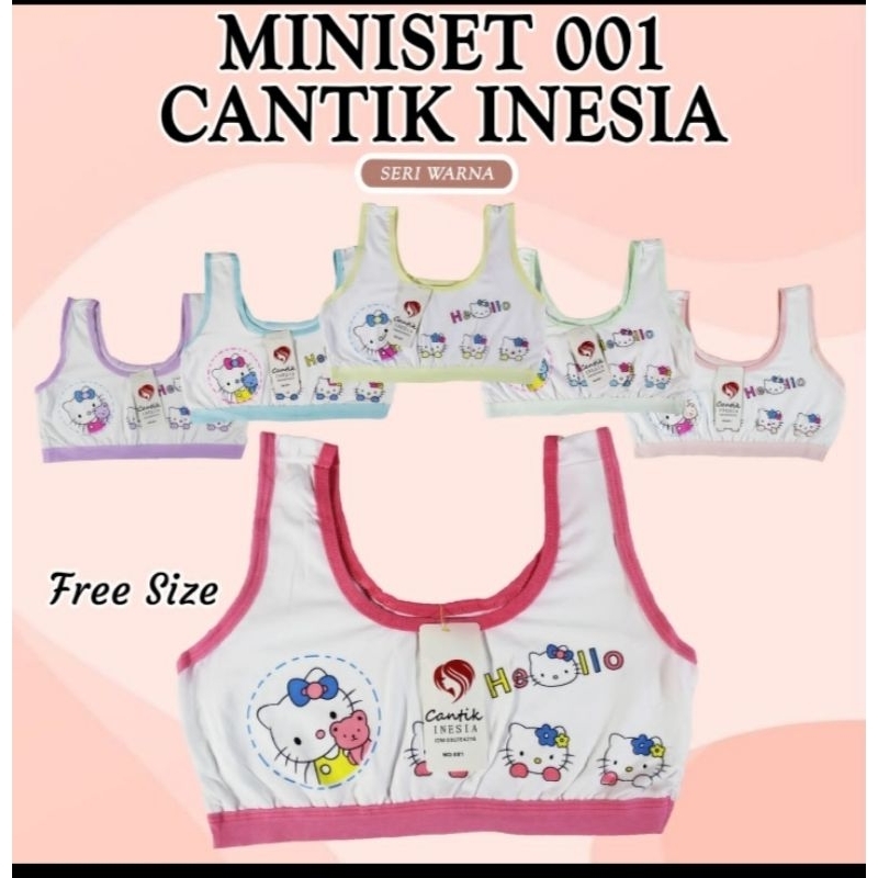 miniset remaja sd-smp