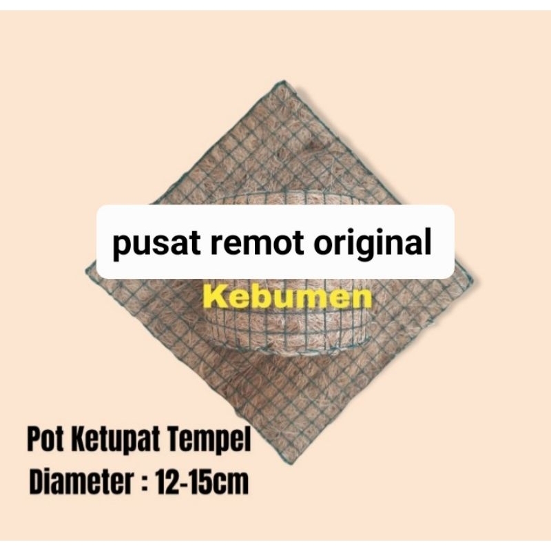 POT KETUPAT TEMPEL DINDING POT BUNGA HIASAN RUMAH