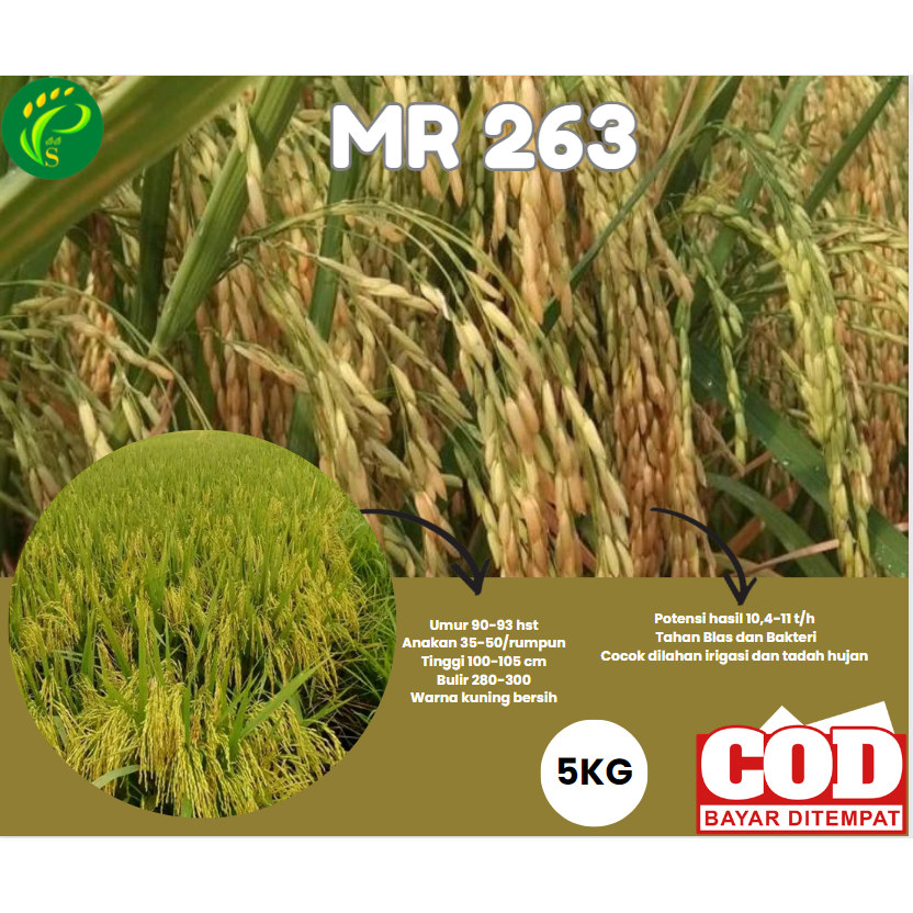 Biji Padi Unggul MR 263 (5KG)