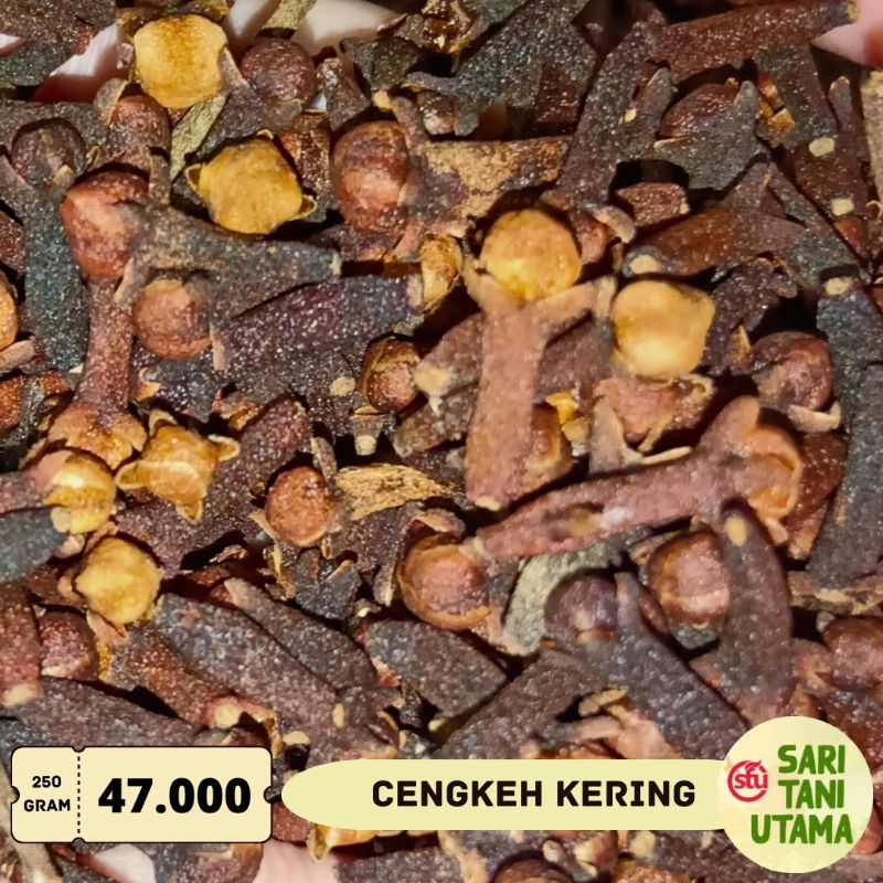 

250gr Cengkeh Kering Bumbu Masak Asli Murni Rempah