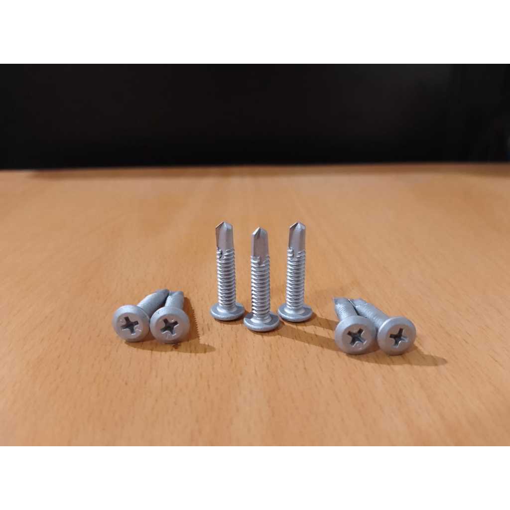 Sekrup Wafer Head SDS 10x25 Envirocoat