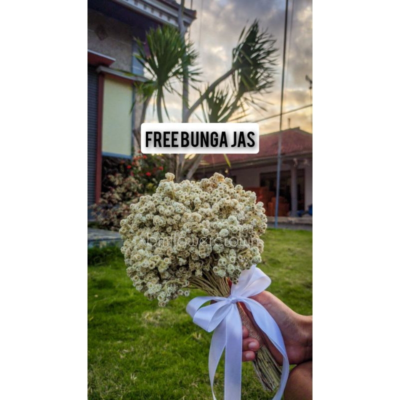 Dried Flowers Wedding Bouquet / Buket Bunga Abadi / Bunga Tangan Pengantin