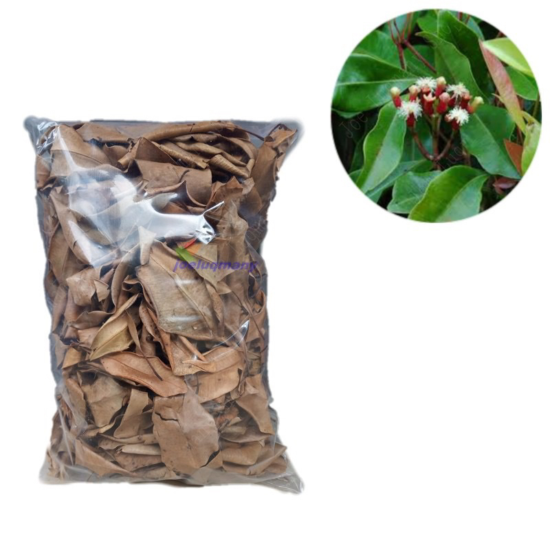 

Daun Cengkeh Kering Kualitas Terbaik 100 Gram - Bisa ekspor