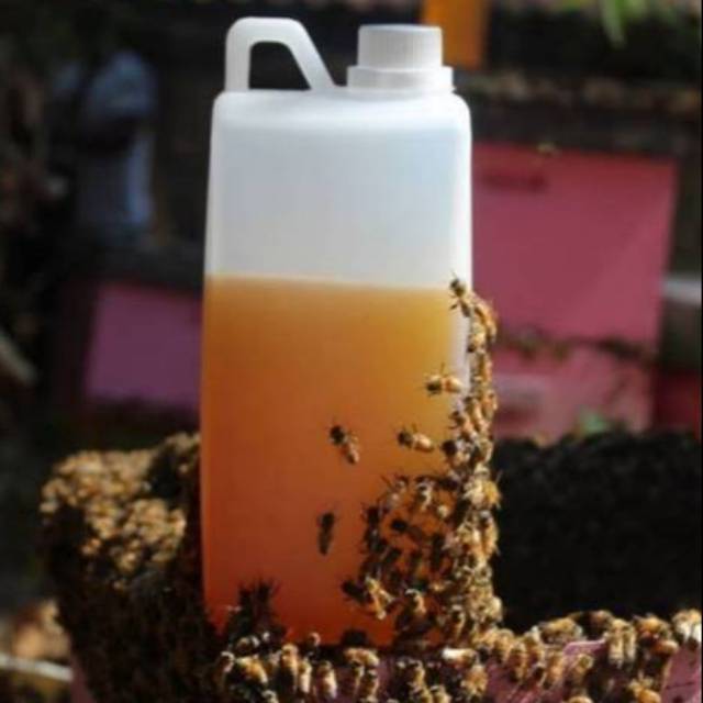 

Madu hutan grade a - 100% Madu Murni Asli 1kg