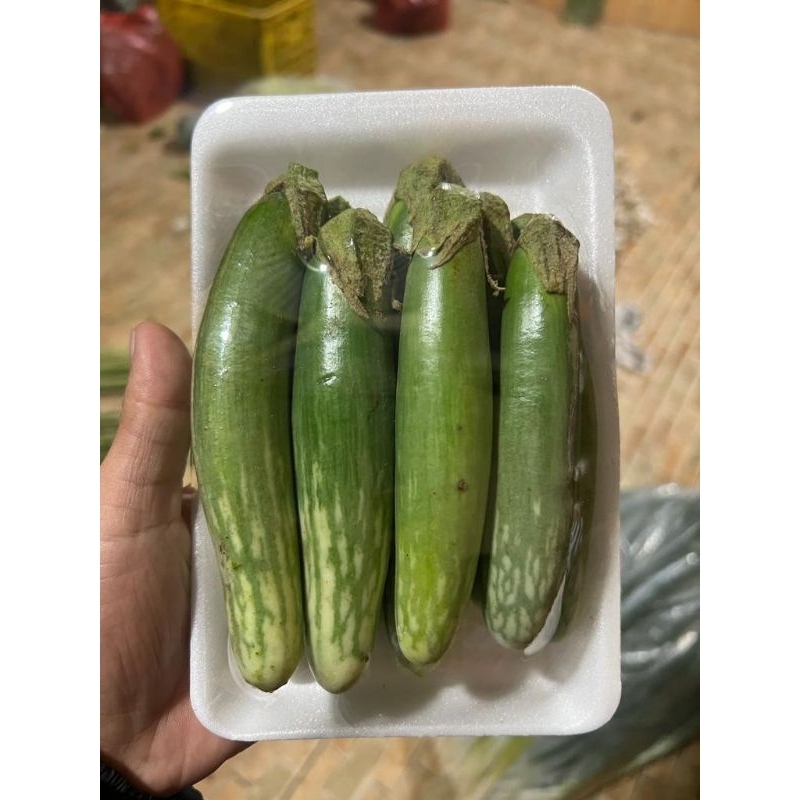 

Terong medan 250 gram