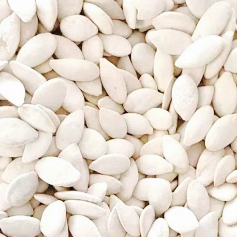 

[۞P94$] KUACI BIJI LABU /. KUACI PUTIH 500 GRAM Stock Masih Banyak