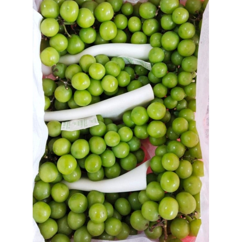 Anggur Shine Muscat Curah (Repack 500g)