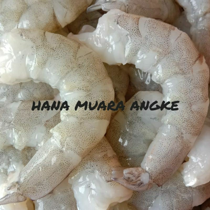 

UDANG KUPAS SIZE L