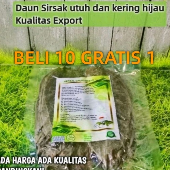 

[KODE PRODUK CVSAQ6040] Daun Sirsak Kering ( Barang kualitas Export Bisa COD )
