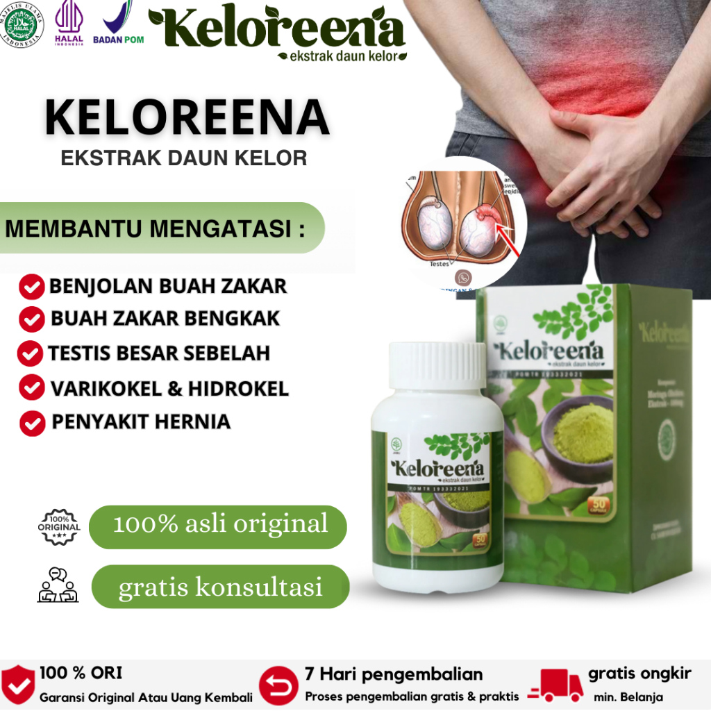 Obat Varikokel Buah Zakar Bengkak, Obat Benjolan Di Buah Zakar, Obat Testis Bengkak, Obat Benjolan D