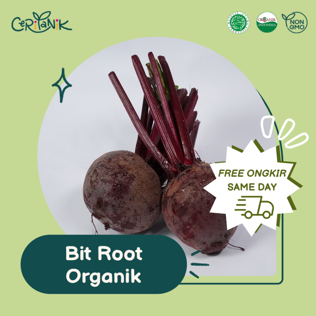 

Bit Root Organik 500 gram - Ceritanik - Bit Root Organic - Sayur Organik Murah - Sayur Organik Sehat - Sayur Organik Premium