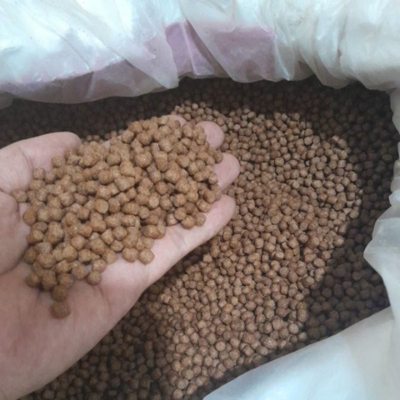 pakan ikan lele 782 pakan ikan masa akhir pakan lele afkir