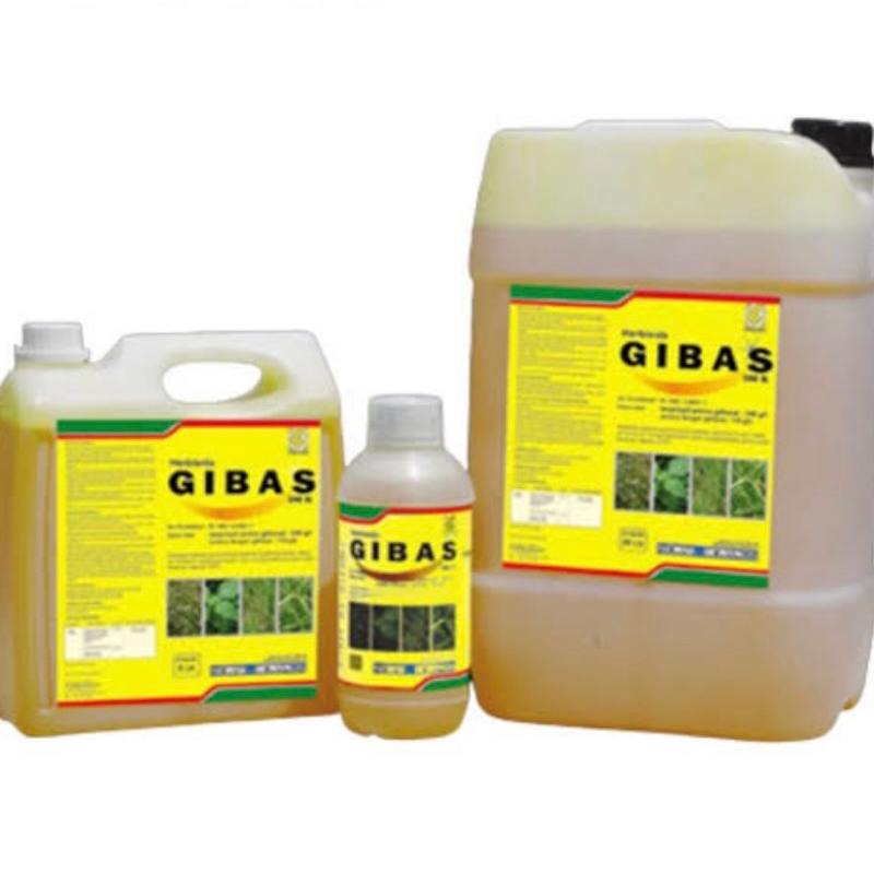 GIBAS 1LITER 1000ML HERBISIDA SISTEMIK GLIPOSAT GLIFOSAT Pembasmi Rumput Gulma Tuntas sampai Akar.
