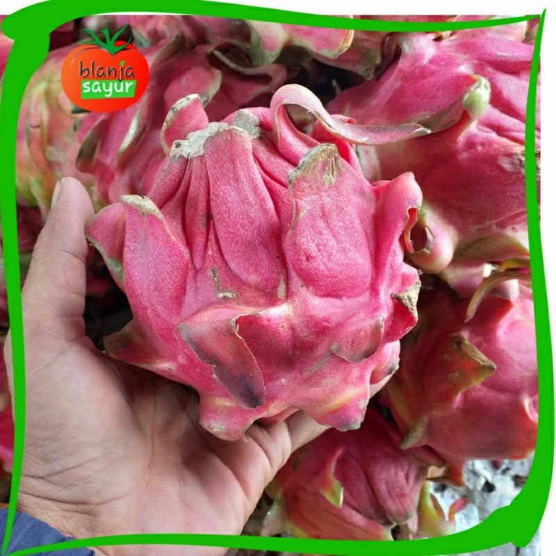 

Buah Naga 1kg