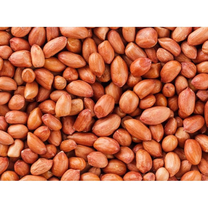 

Baru Kacang Tanah 500 gr Best Produk